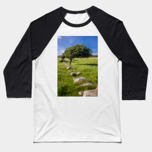 Tree and Remains of Wall near Sandyhills Dumfries and Galloway Photograph Baseball T-Shirt